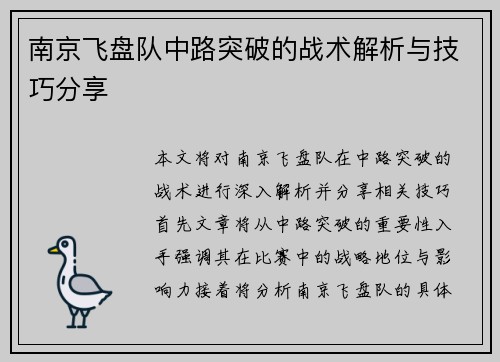 南京飞盘队中路突破的战术解析与技巧分享